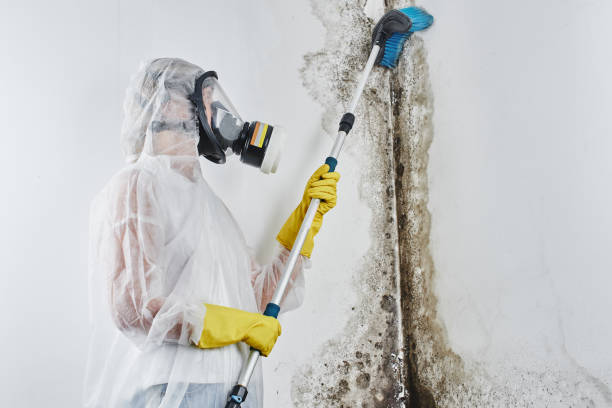 Crawl Space Mold Removal in Geneva, IN